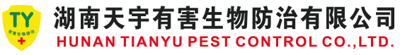 云思智能